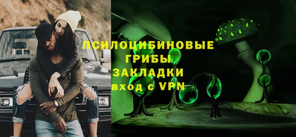 дживик Алексин