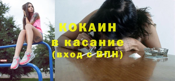дживик Алексин
